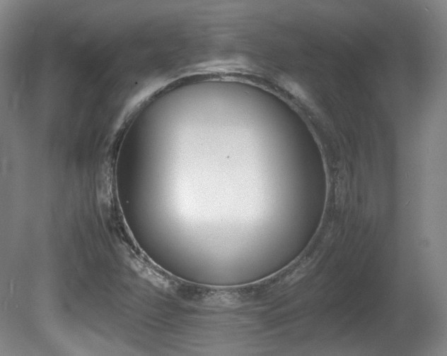 X0000080781358200612151418