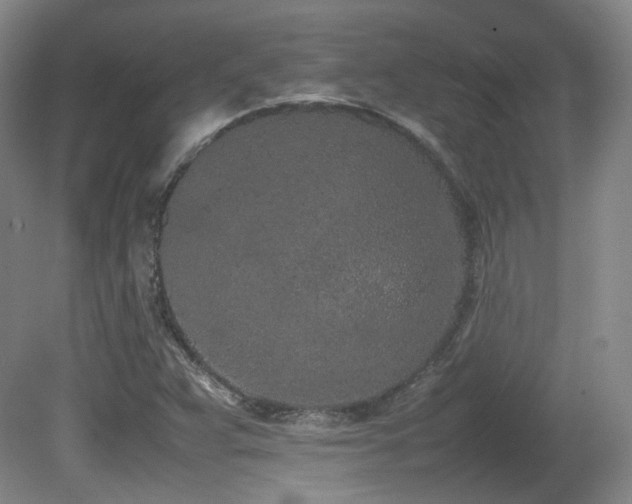 X0000080781359200612151418