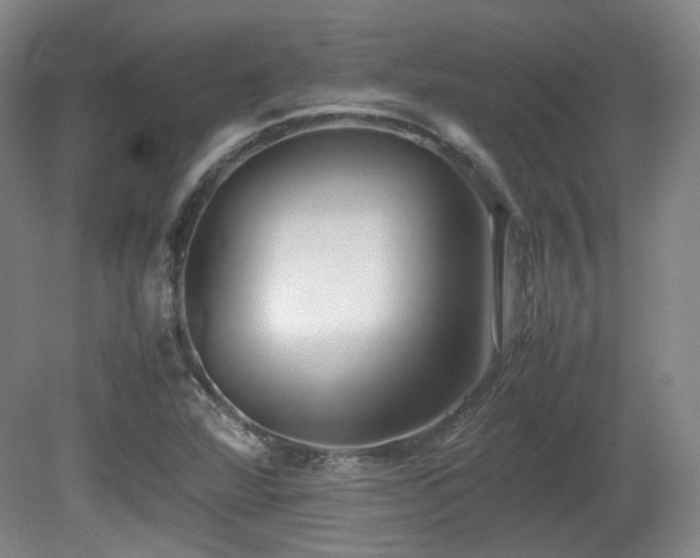 X0000080781360200612151418