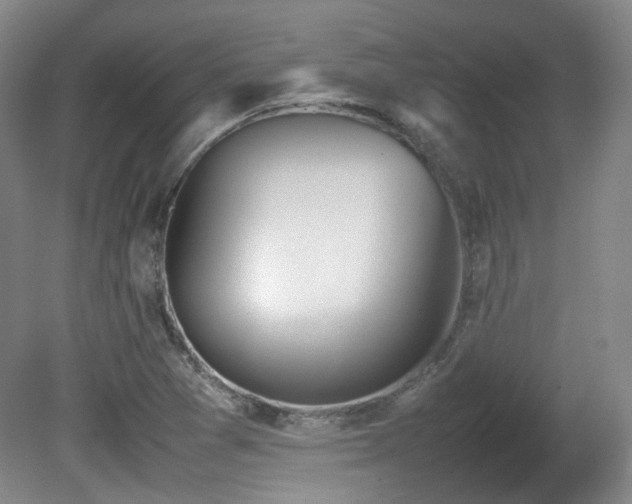 X0000080781361200612151418