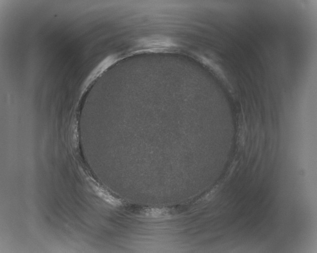 X0000080781362200612151418