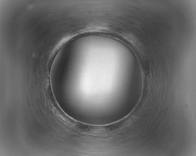 X0000080781363200612151418
