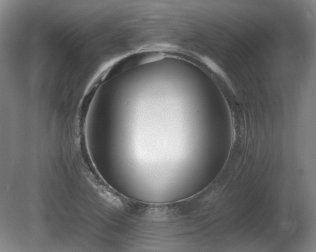 X0000080781364200612151418