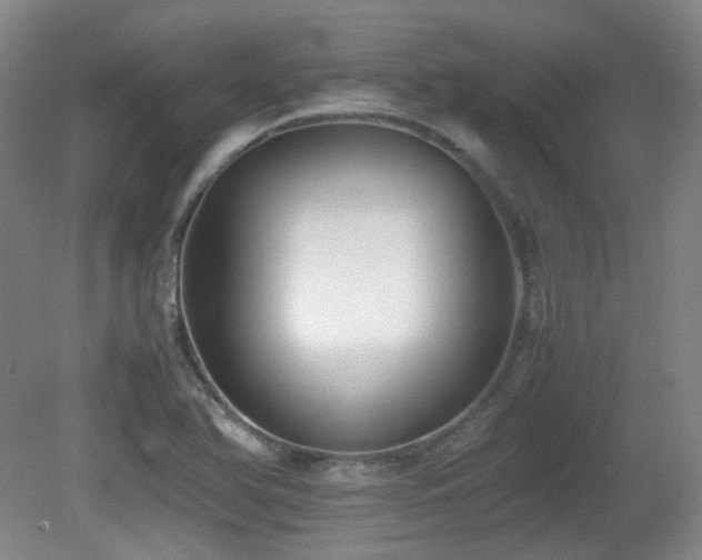 X0000080781366200612151418
