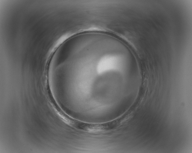 X0000080781367200612151418