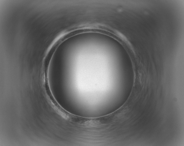 X0000080781368200612151418