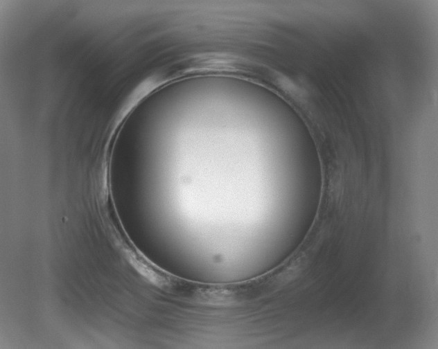 X0000080781370200612151418
