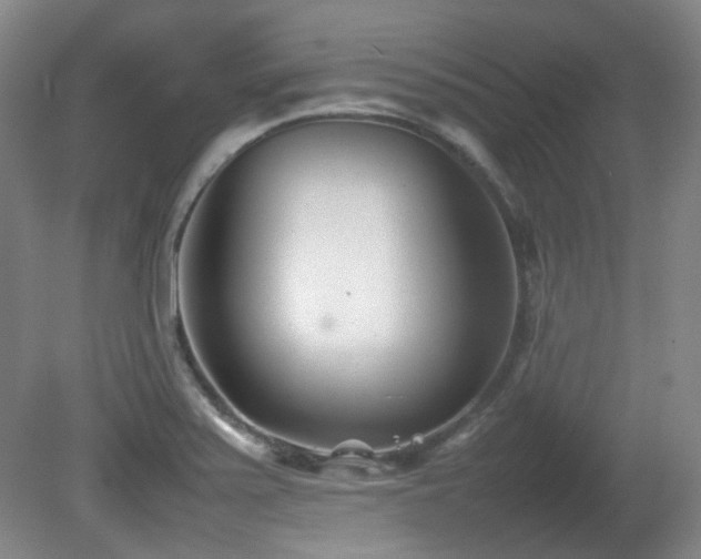 X0000080781371200612151418