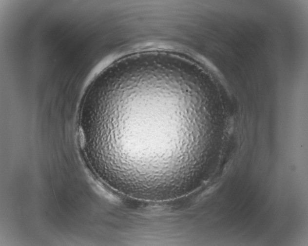 X0000080781373200612151418