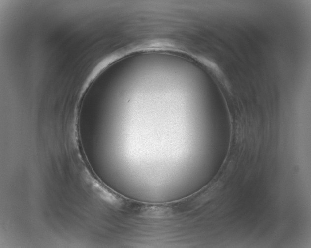 X0000080781374200612151418