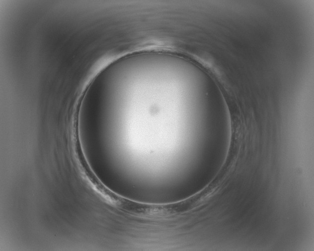 X0000080781375200612151418