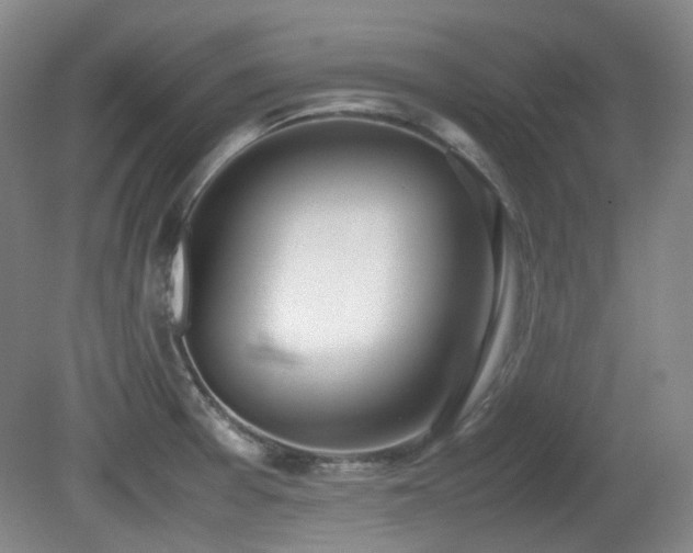 X0000080781377200612151418