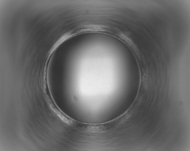 X0000080781378200612151418