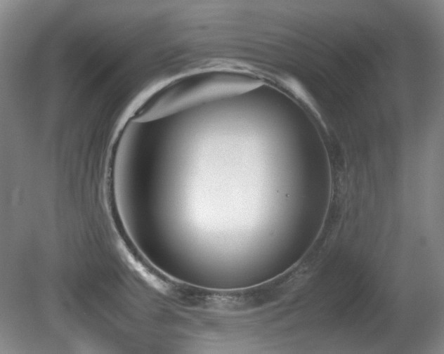 X0000080781379200612151418
