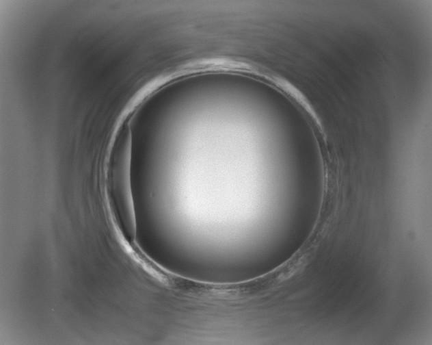 X0000080781381200612151418