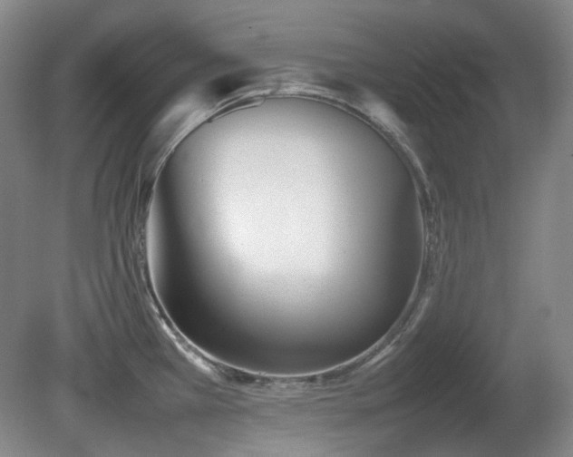 X0000080781385200612151418