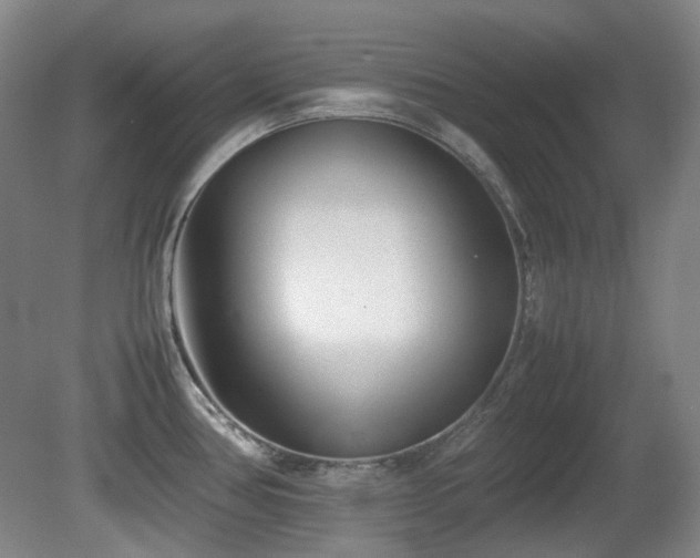 X0000080781386200612151417