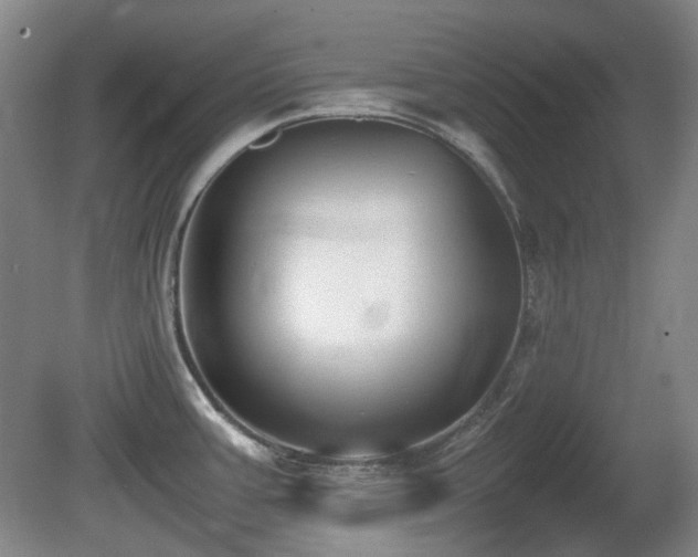 X0000080781387200612151417