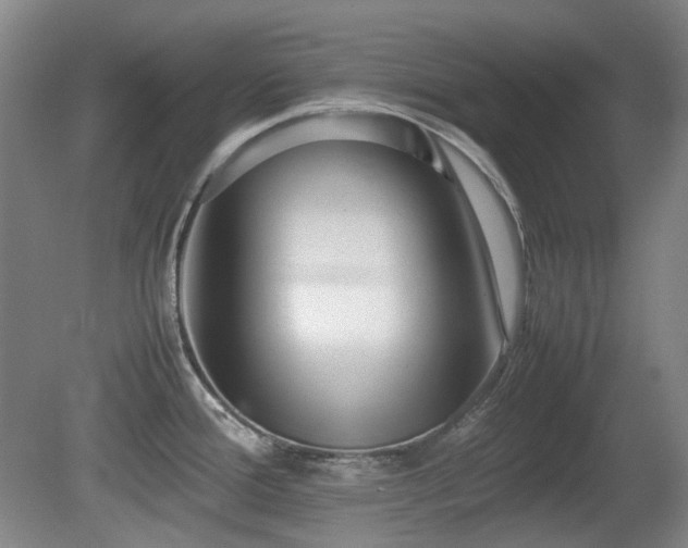 X0000080781388200612151417