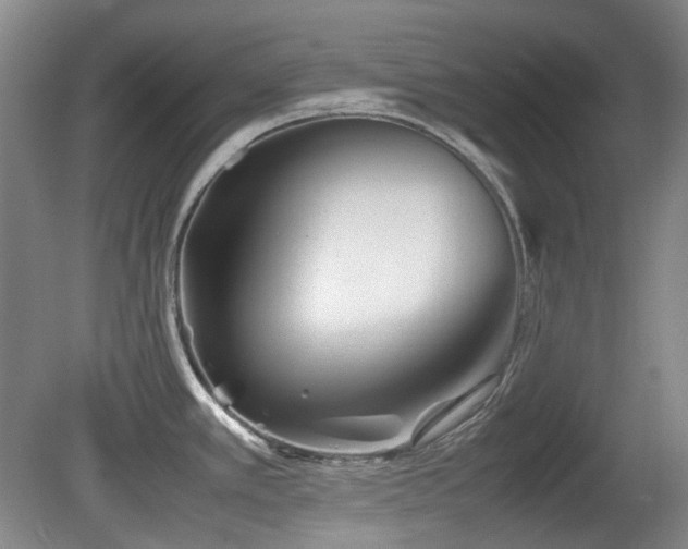 X0000080781389200612151417