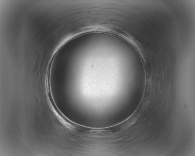 X0000080781391200612151417