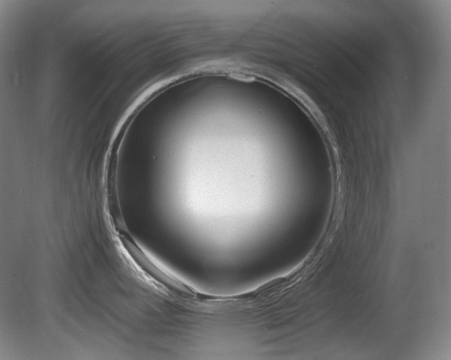 X0000080781392200612151417