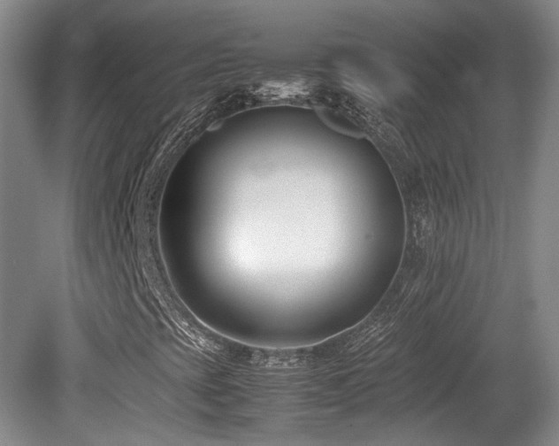 X0000080781393200612151417
