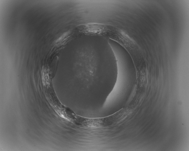 X0000080781394200612151417