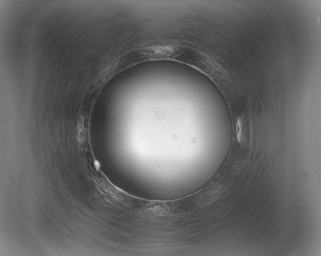 X0000080781395200612151417