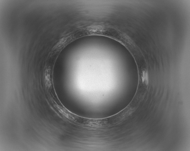 X0000080781396200612151417