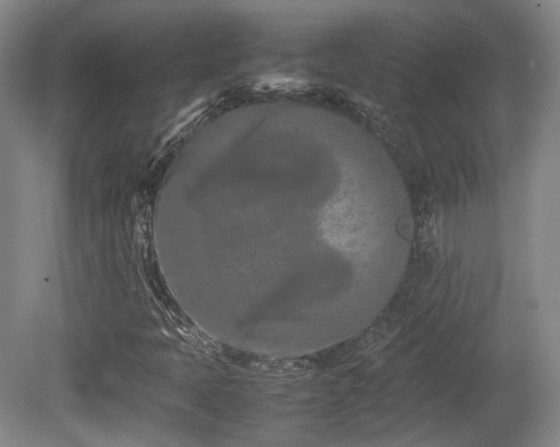 X0000080781397200612151417
