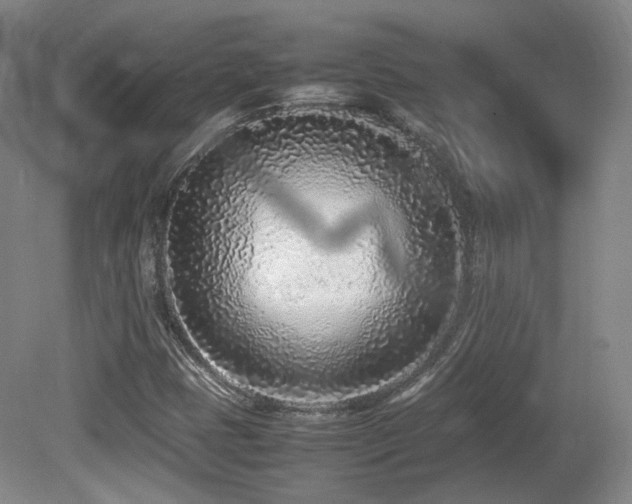 X0000080781401200612151417