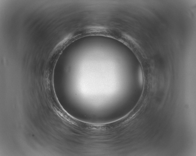 X0000080781403200612151417
