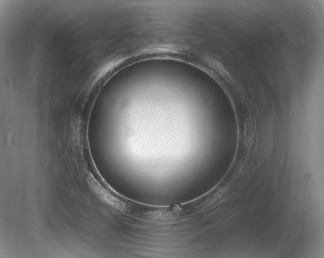 X0000080781404200612151417