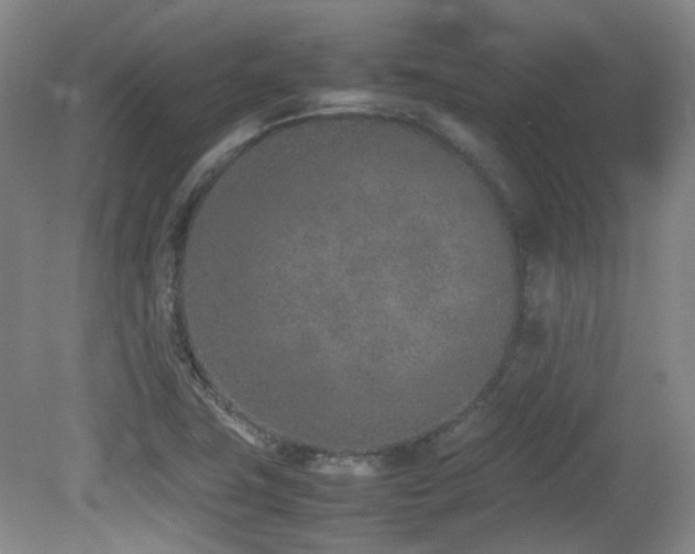X0000080781411200612151417