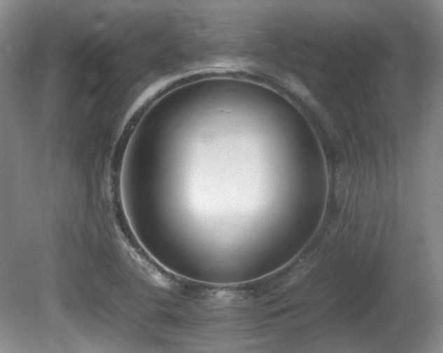 X0000080781412200612151417