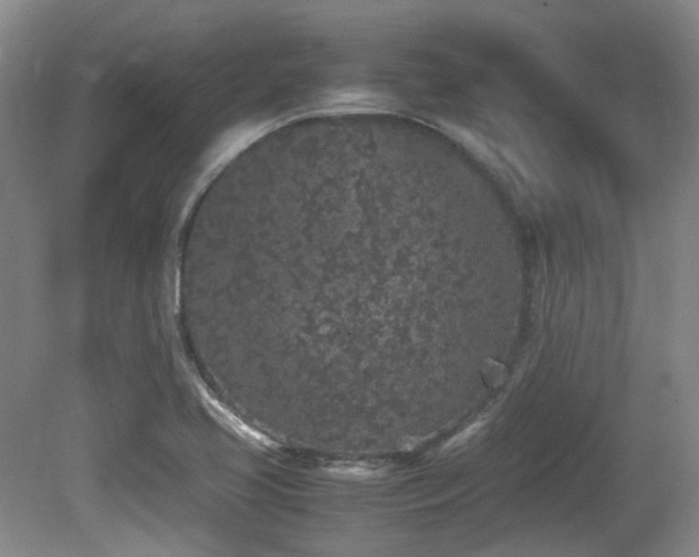 X0000080781413200612151417