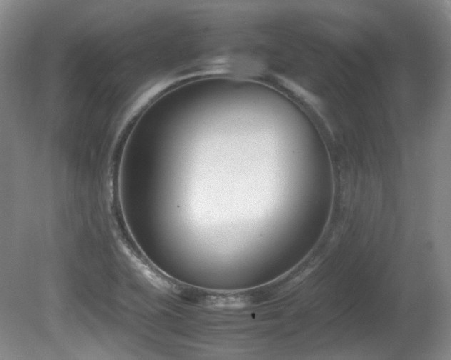 X0000080781415200612151417