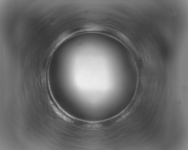 X0000080781417200612151417