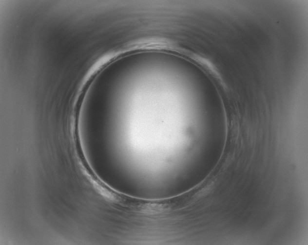 X0000080781424200612151417