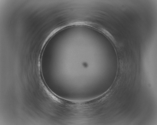X0000080781428200612151417
