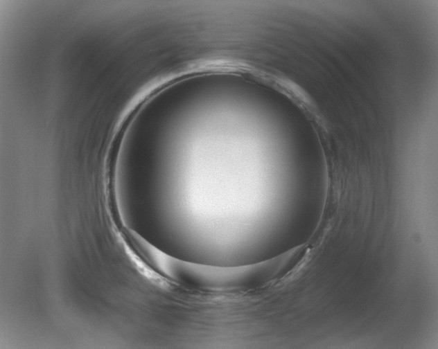 X0000080781430200612151417