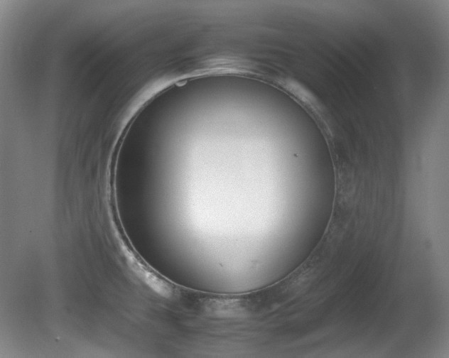 X0000080781431200612151417