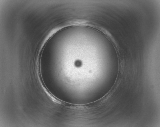 X0000080781432200612151417