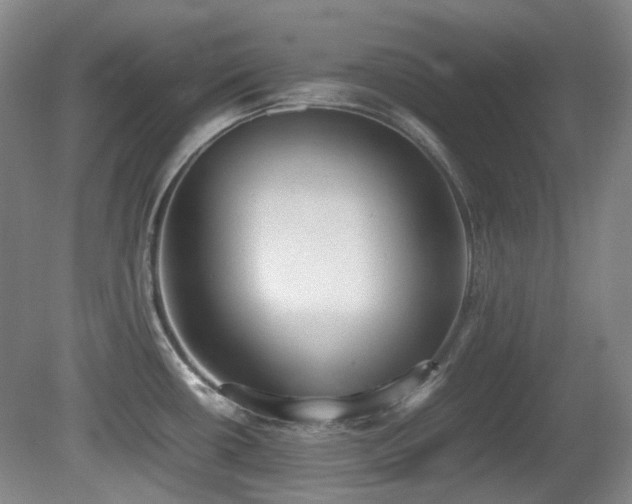 X0000080781434200612151417