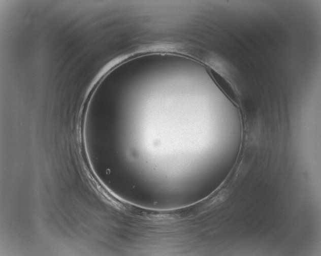X0000080781436200612151417