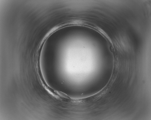 X0000080781437200612151417