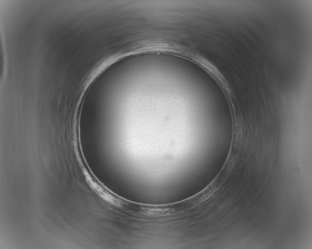 X0000080781439200612151417