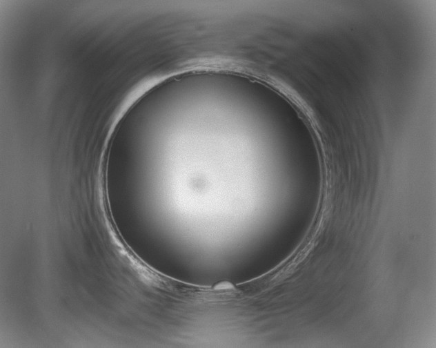X0000080781440200612151417