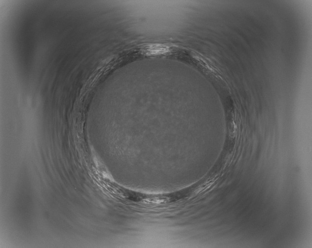 X0000080781441200612151417